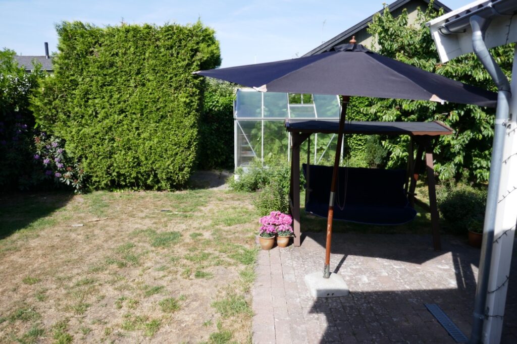 BlogPortal pleje af græsplæne