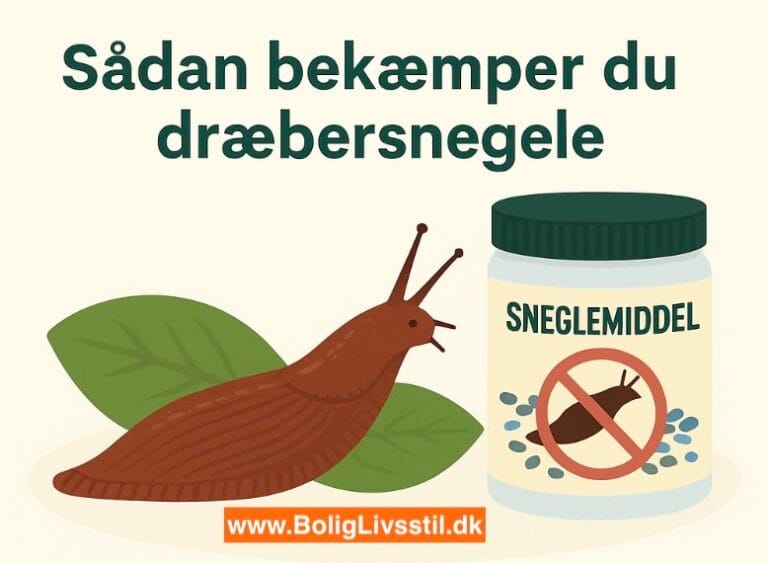 Sådan bekæmper du bedst dræbersnegle